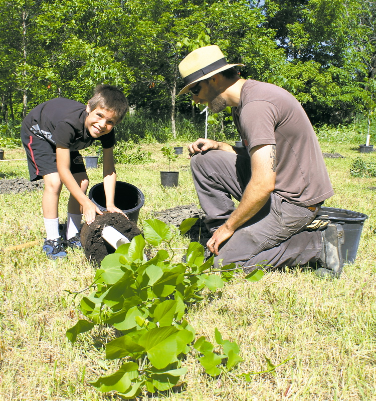 Adrian Zoldy (left) removes a basswood tree from a pot under the direction of a park employee.