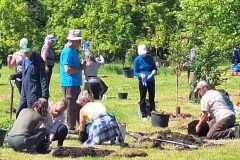 tree-planting-2024-group