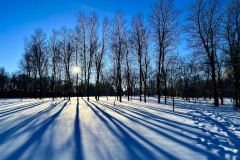 Wes-Braun-winter-dusk-2