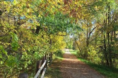 fall-at-HPark-Ashcroft