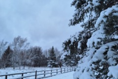 prairie-in-winter-1
