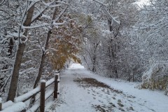 snowy-fence-3