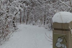 snowy-morningAshcroft